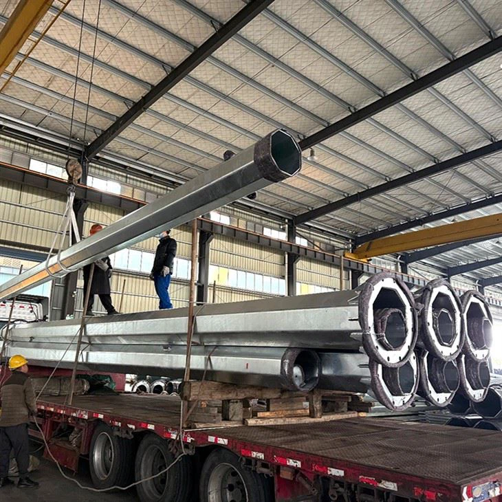 12m Double Arm Street Lamp Pole price